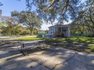 Among the Oaks