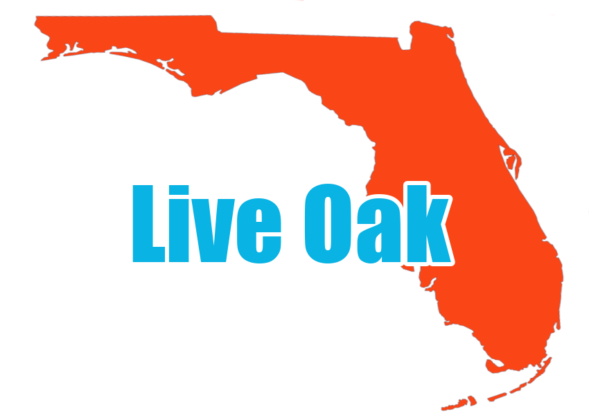 Live Oak