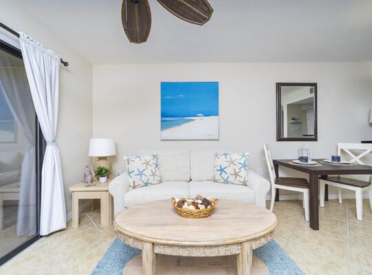 Newley Remolded Ground Floor Condo ~ Heated Pool ~ Pet Friendly