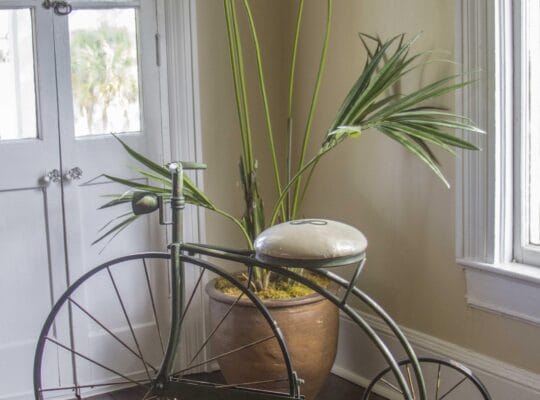 HISTORIC DISTRICT ~ Walk Everywhere ~ Private Parking!